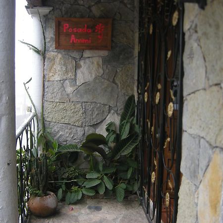 Posada Ammi Cuetzalán del Progreso Εξωτερικό φωτογραφία